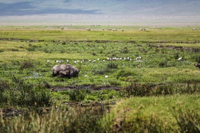 【高翔夜话】“1492”标尺